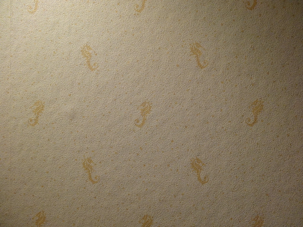 20403846674_bf9997b76c_b.jpg