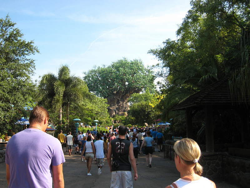 322071399_oAatq-L.jpg