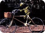 kermit.jpg