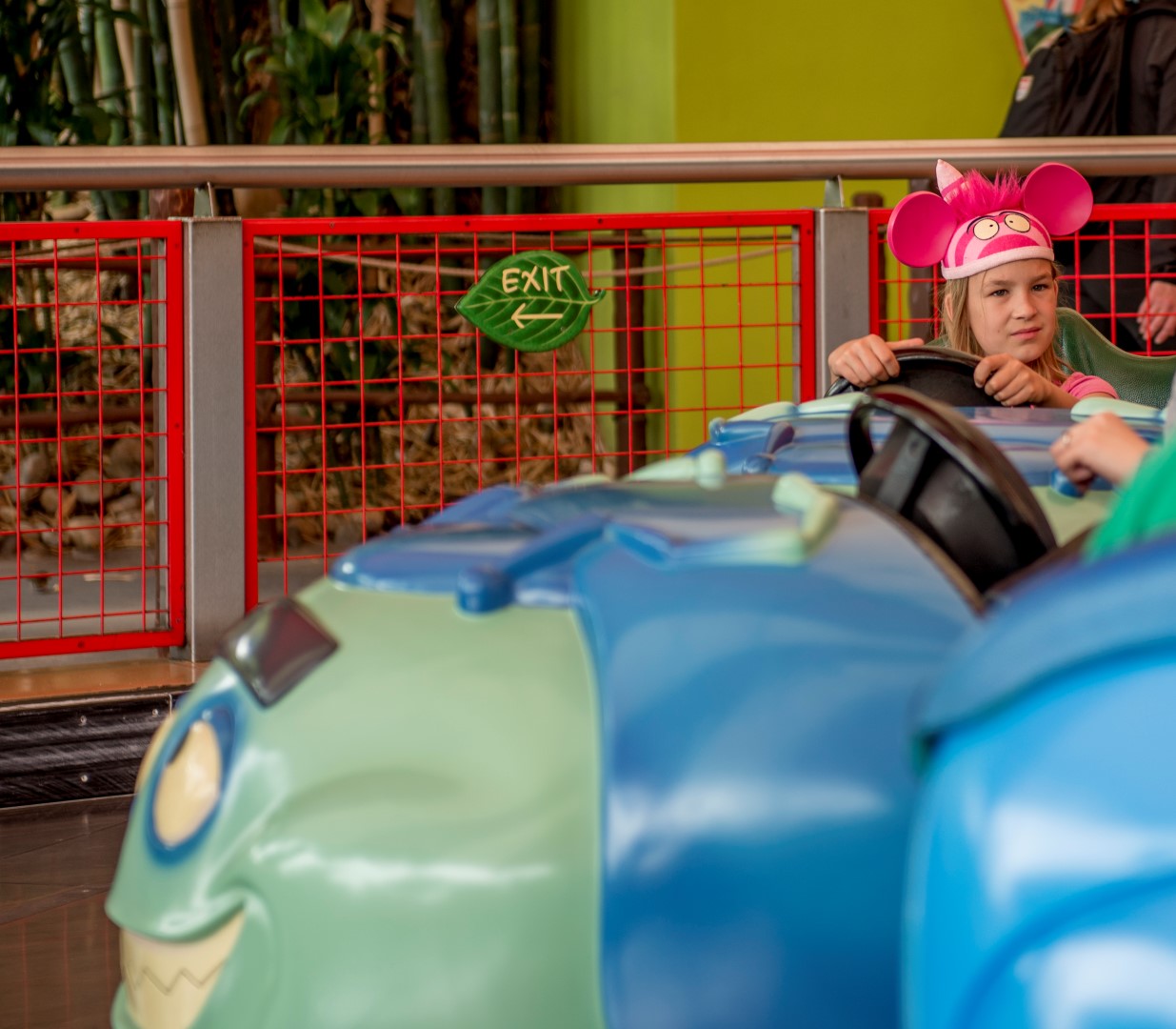 DSC_3226%20(Large).jpg