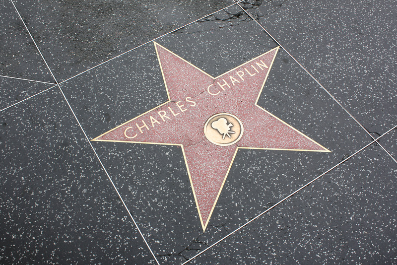 IMG0875-L.jpg