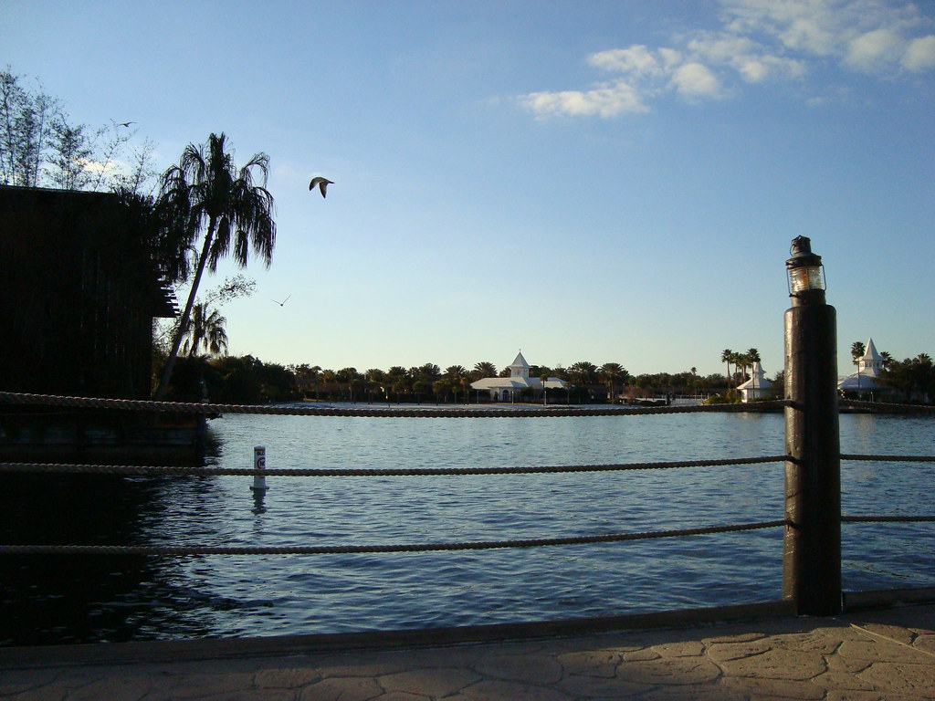 3523983480_74bcd33abc_b.jpg