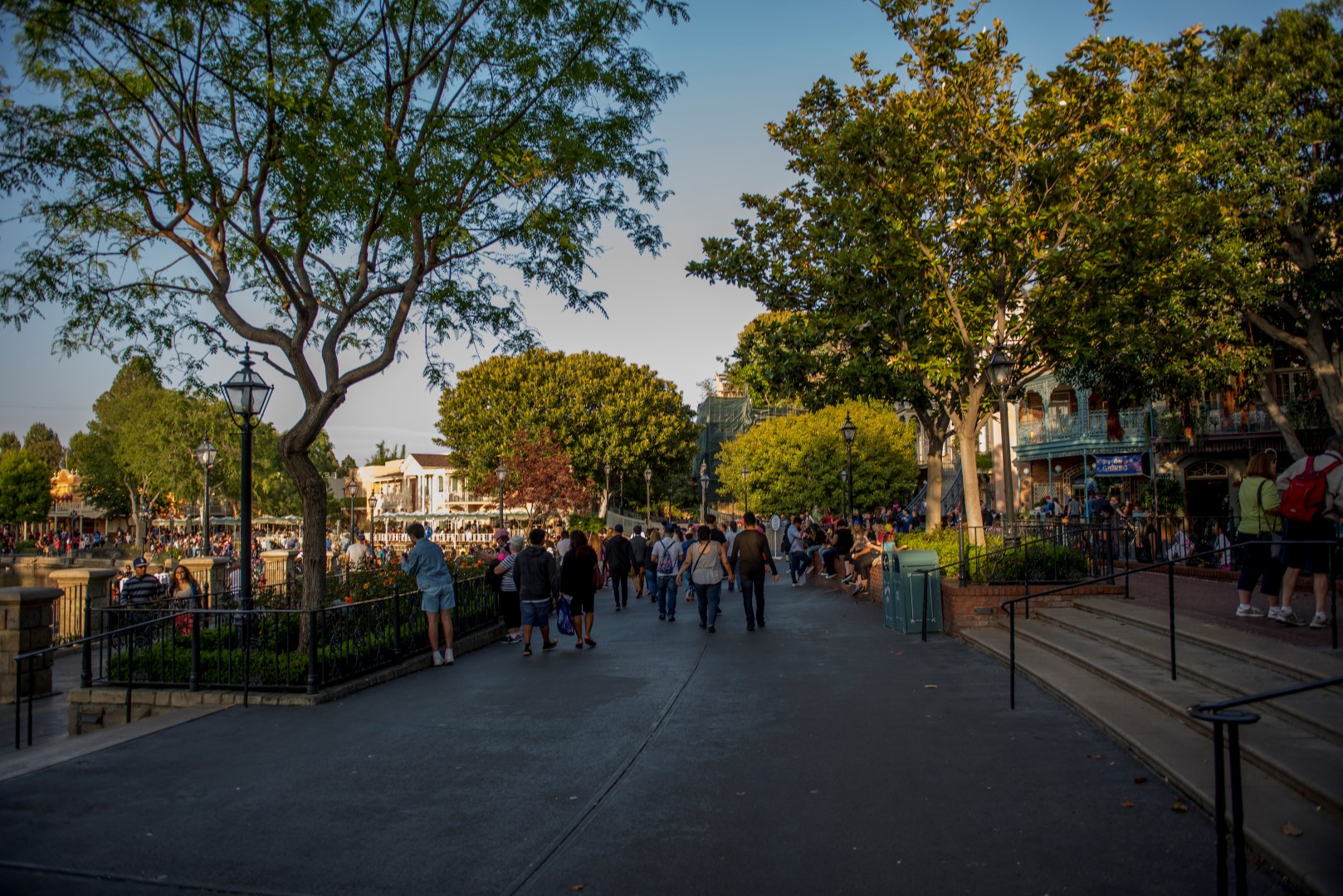 DSC_2464%20(Large).jpg