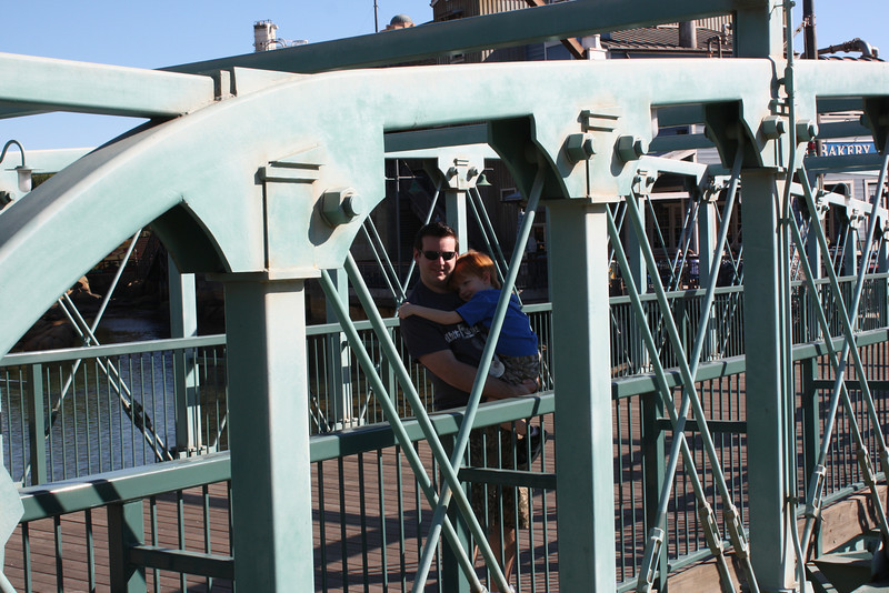 IMG9882-L.jpg