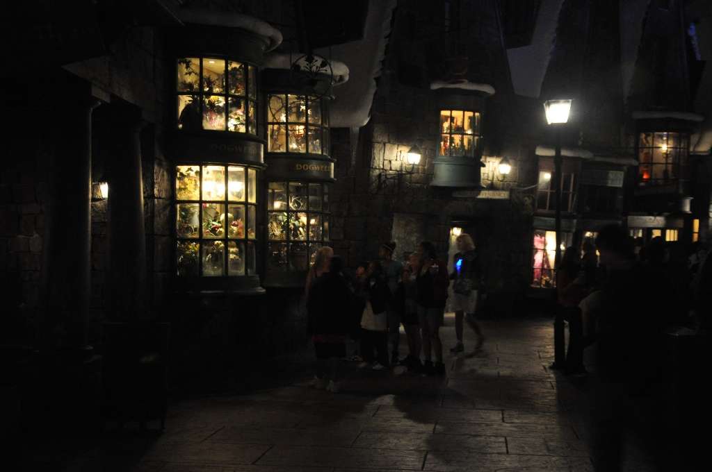 dsc8116s.jpg