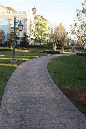 561016374_wFz7D-M.jpg