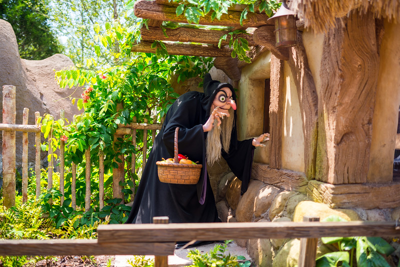 DSC_8834-L.jpg