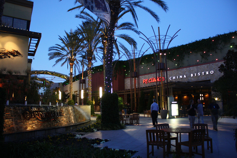 IMG0371-L.jpg