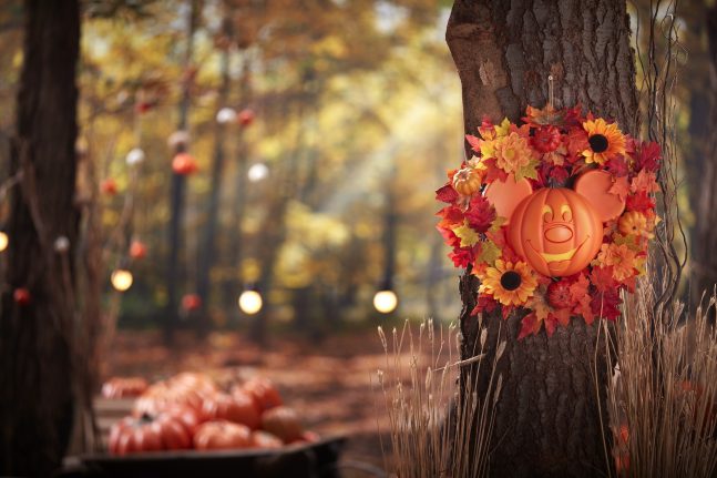 Disney-Halloween-Merch-2024-34-647x431.jpg
