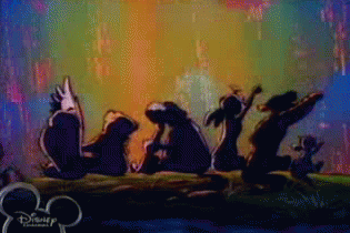 tumblr_lo5607KXra1qkj77do1_400.gif