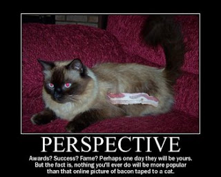 baconcat.jpg