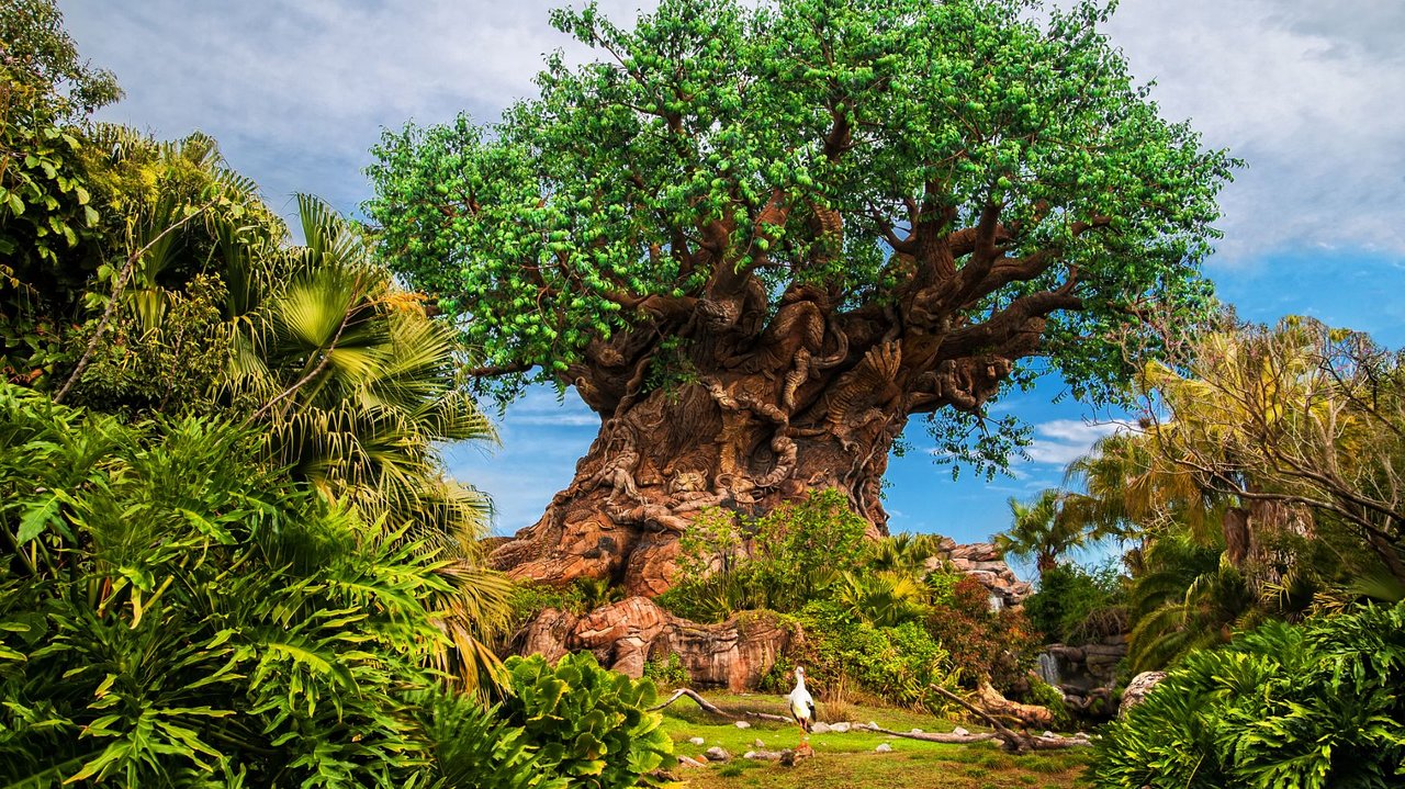 the-tree-of-life-at-disney.jpg