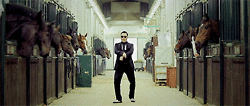 tumblr_mariy7ZHiy1qiala6o1_250.gif