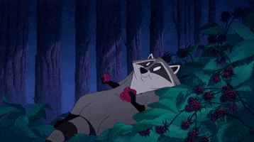 200.gif