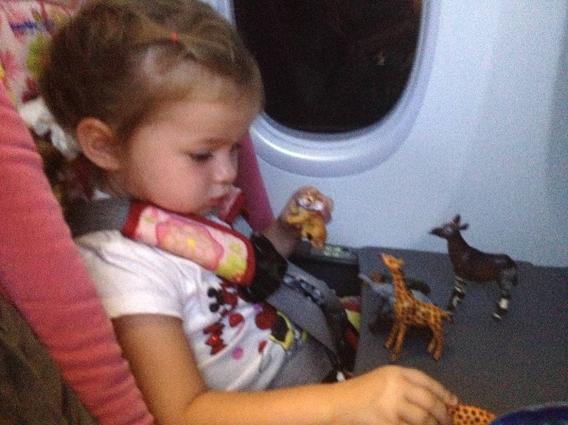2monday_animals_on_plane.jpg