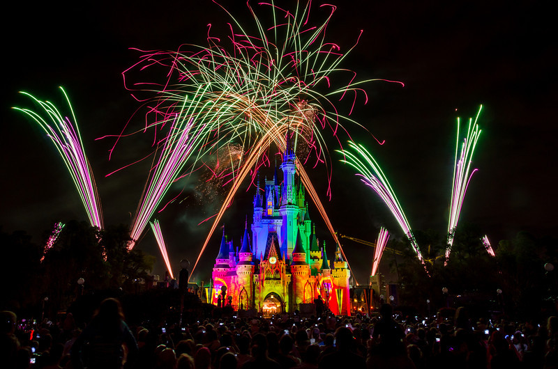 DSC1824-L.jpg