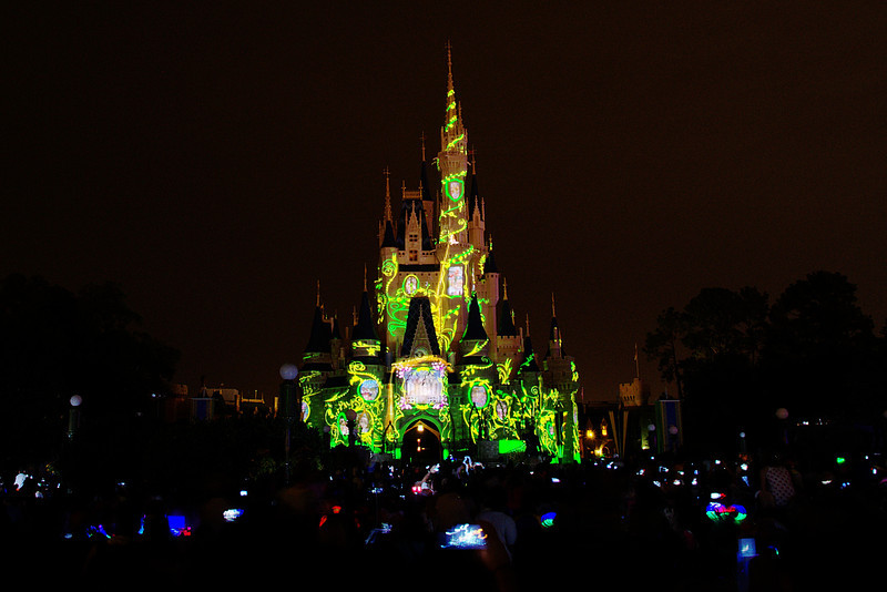 DSC7256-L.jpg
