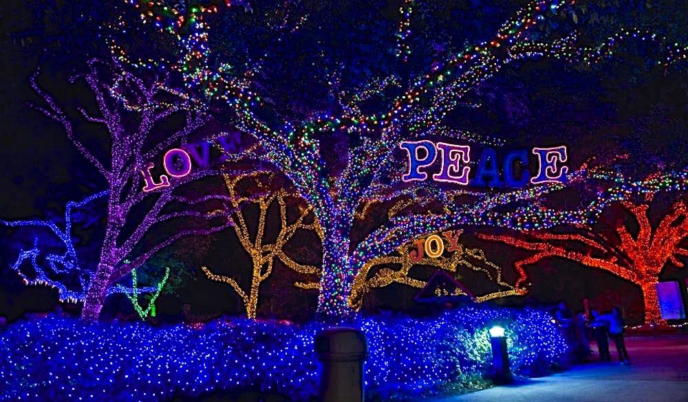 zoo-lights-houston-2014-tickets.jpg