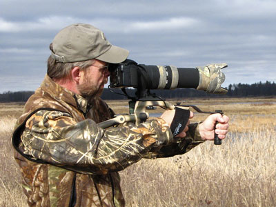 furtman_bushhawk3w.jpg