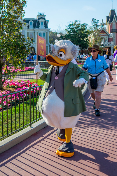 DSC_5815-L.jpg
