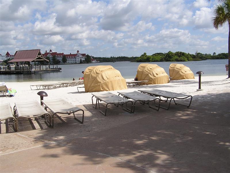 P1010332.jpg