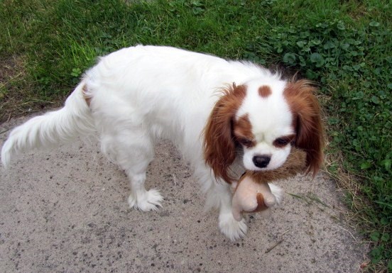 IMG0433.jpg