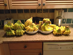 ResbP7C_JgryNqImHznP5imBkV4jRuAUuUHpouXO-lQ=w237-h177-p-no