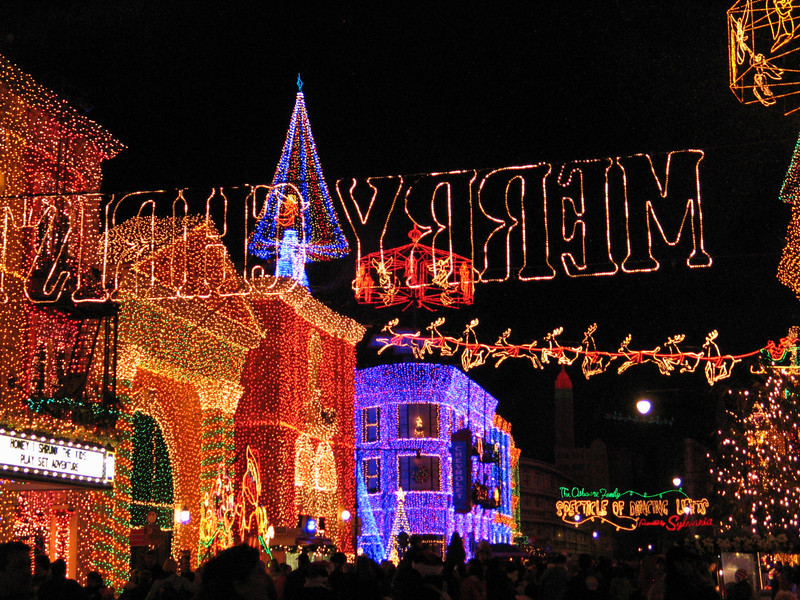 IMG7616-L.jpg