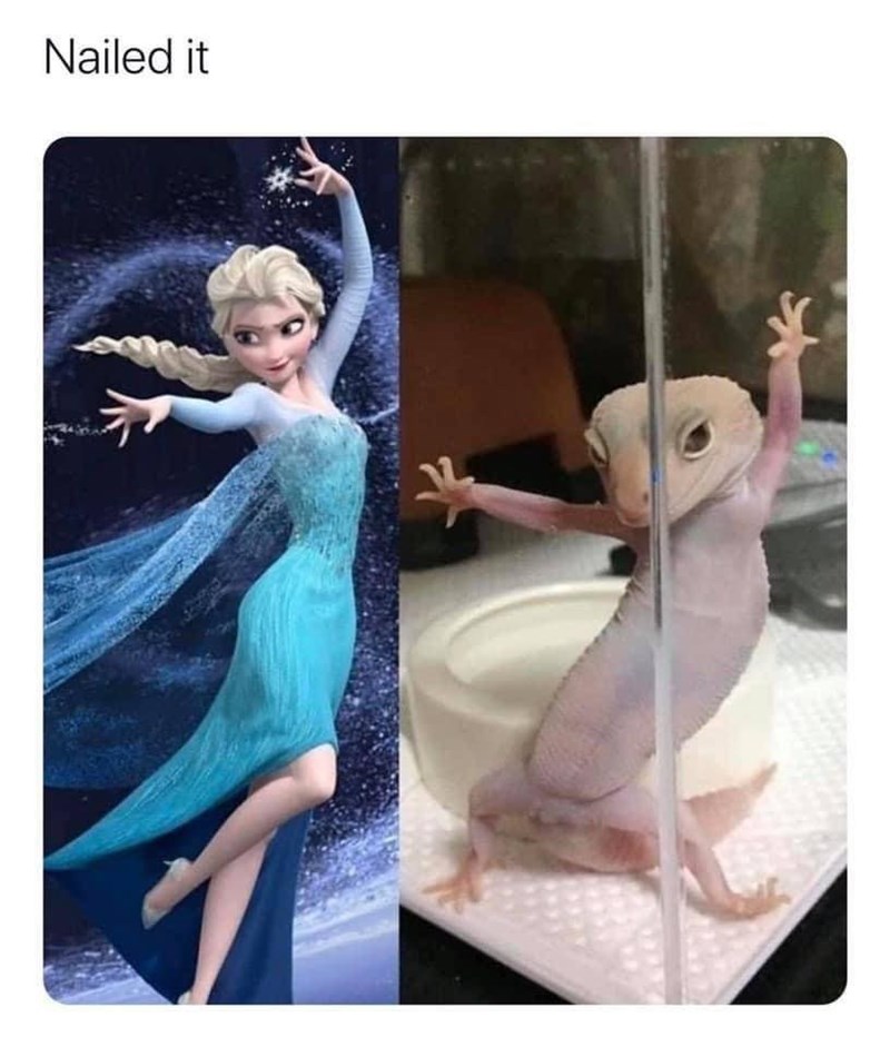 person-nailed