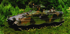 marder.jpg