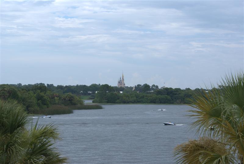 DSC02124.jpg