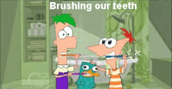 tumblr_lpkal0nj881qkj77do1_250.gif