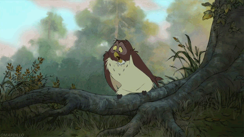 tumblr_loeeugscyw1qdphjqo1_500.gif