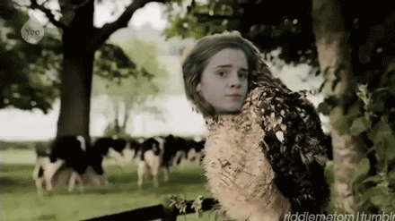 tumblr_ldssq4iD3q1qa8ir9o1_r1_500.gif