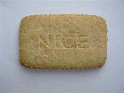 nice_biscuit.jpg