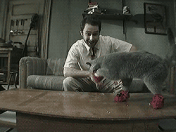 tumblr_lpjqarKgak1qiz3j8o8_r1_250.gif
