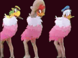 tumblr_lo71zlT94r1qkj77do1_400.gif