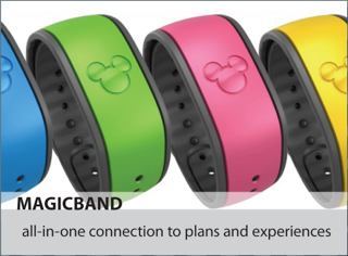my-magicband-walt-disney-world-dizradio.png