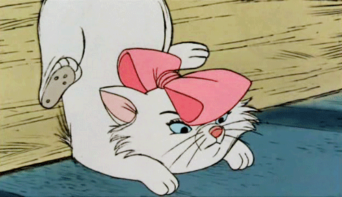 tumblr_lq629lNWpx1qhy6kvo1_500.gif