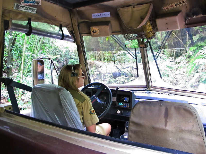 9558ed1-L.jpg