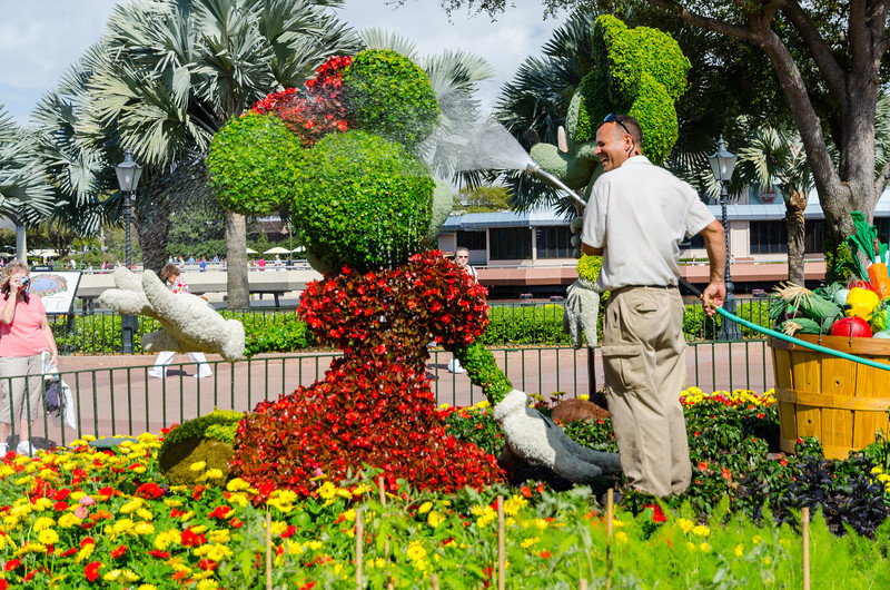 DSC1370-L.jpg