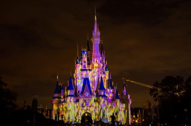 DSC1767-L.jpg