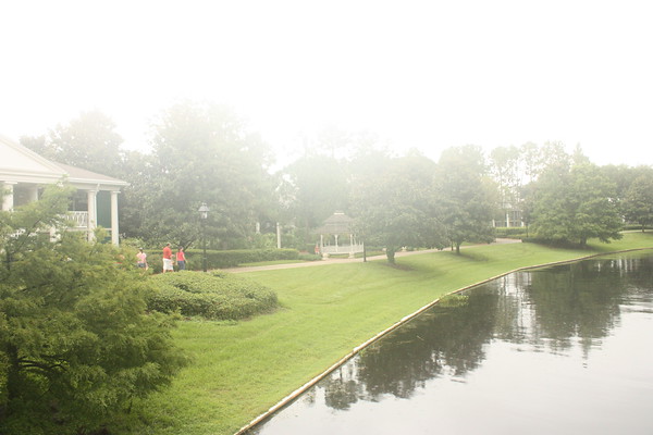 600923113_Jc4rA-M.jpg