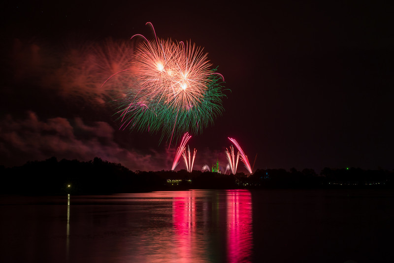 DSC_1544-L.jpg