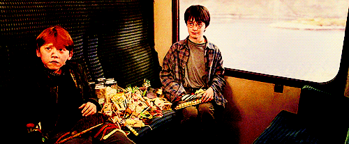 tumblr_lnvux2Jllo1qhd14co1_500.gif