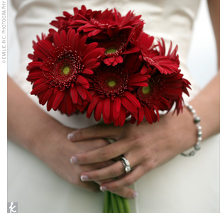 dark-red-gerber-bouquet.jpg