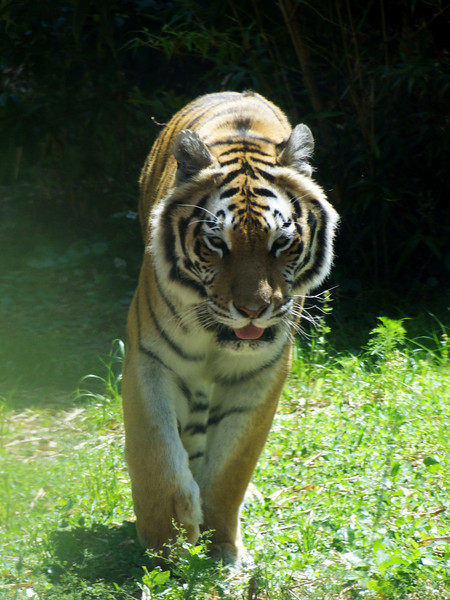 1065267590_BP5mz-L.jpg