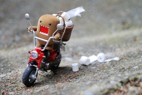 DOMO-D-domo-kun-20851037-500-333.jpg