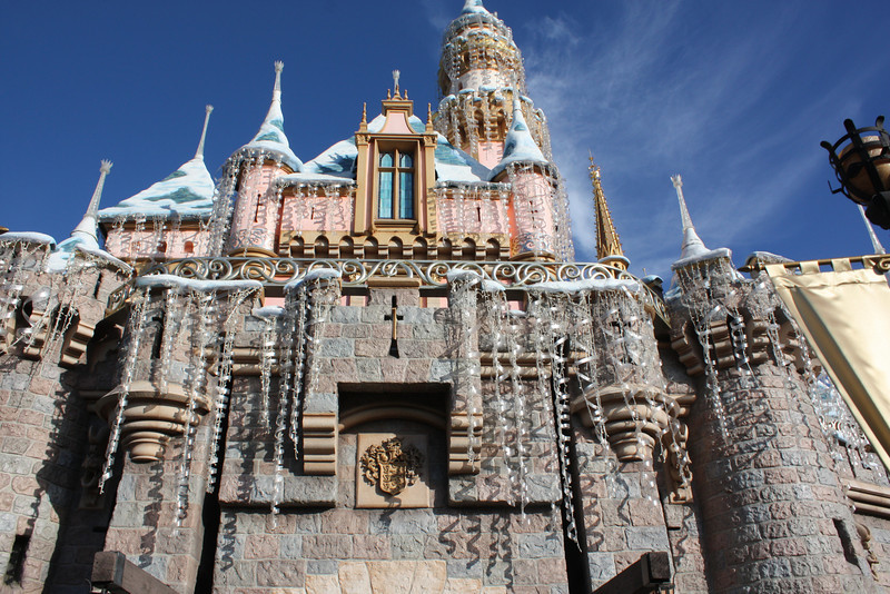 IMG9166-L.jpg