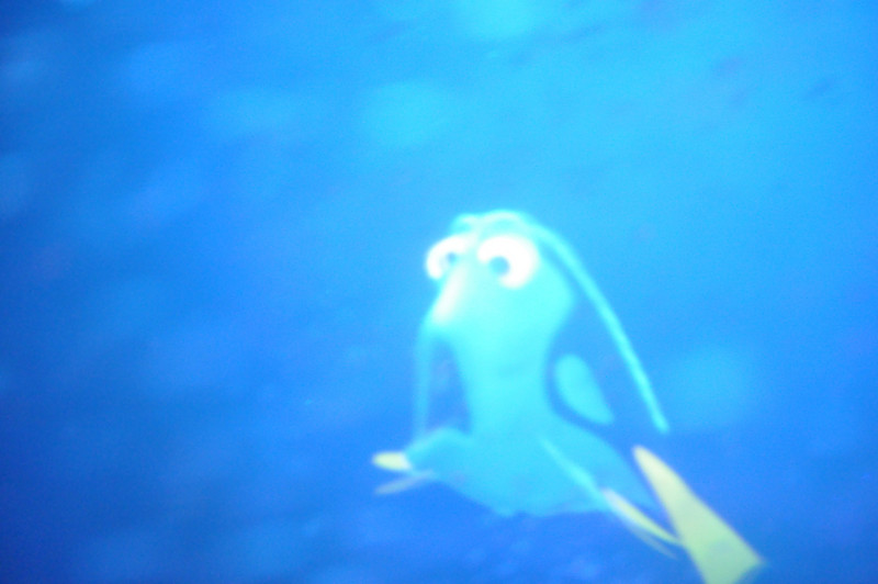 585405264_s3rgw-L.jpg